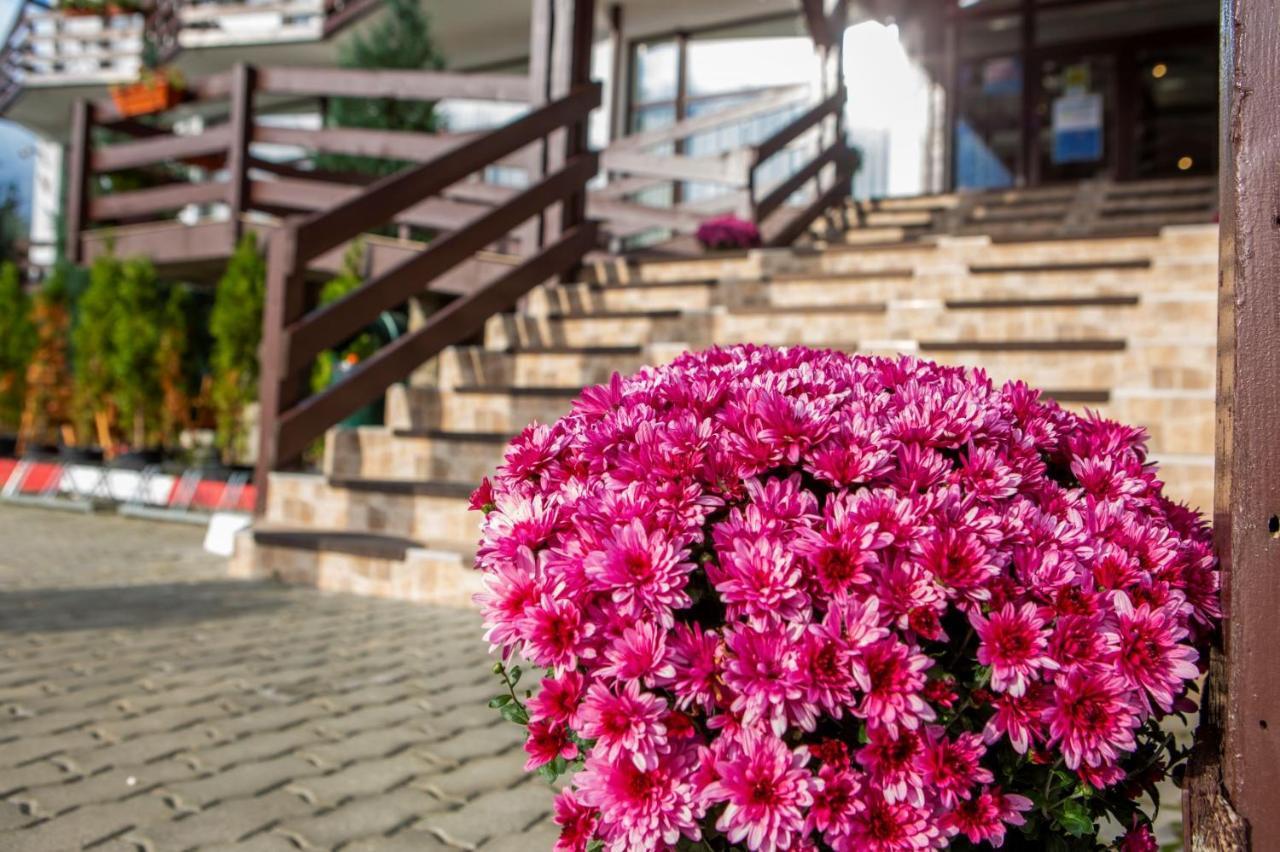 Hotel La Dolce Vita Zărneşti 외부 사진